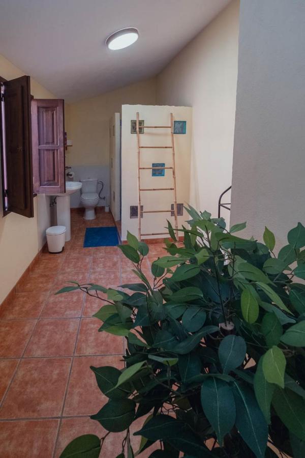 B&B La Granadilla Cónchar エクステリア 写真